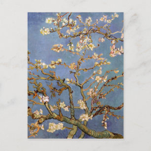 Carte Postale Van Gogh Almond Blossom