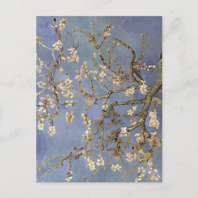 Carte Postale Van Gogh Almond Blossom (Devant)