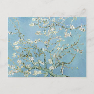 Carte Postale Van Gogh Almond Blossoms