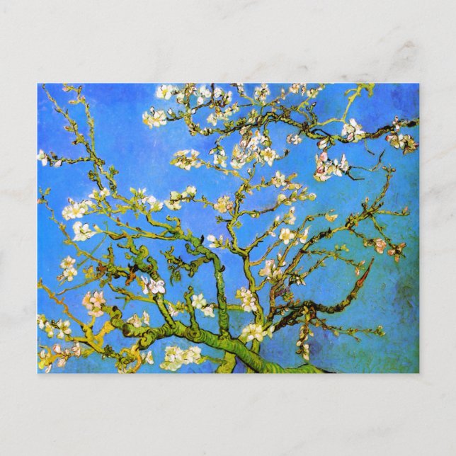 Carte Postale Van Gogh : Branches d'amandier en fleurs (Devant)