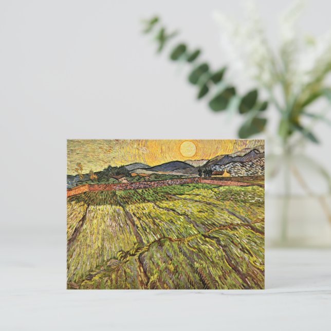 Carte Postale Van Gogh - Champ fermé avec soleil levant (Debout devant)