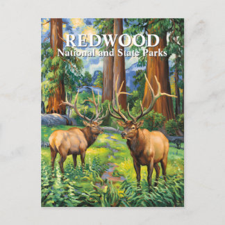 Carte Postale Van Gogh Elk Redwood California Forest Custom Text