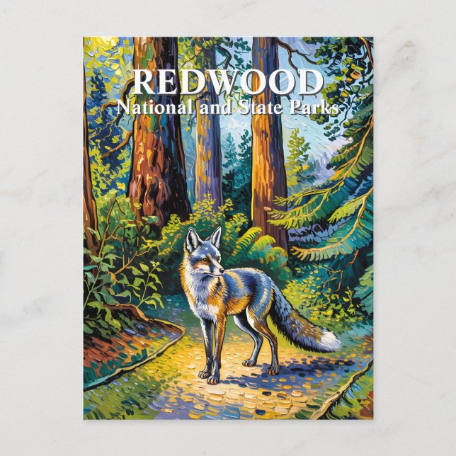 Carte Postale Van Gogh Fox Redwood National Park Forest Custom (Devant)