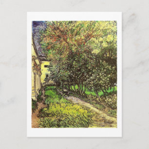 Carte Postale Van Gogh Garden St Remy Art