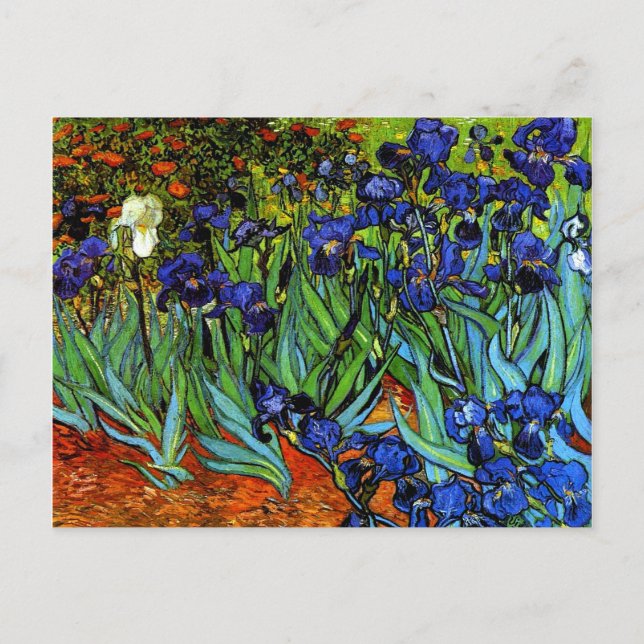 Carte Postale Van Gogh - Irises (Devant)