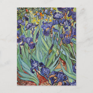 Carte Postale Van Gogh Irises Peinture impressionniste