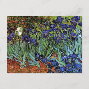 Carte Postale Van Gogh Irises Postcard