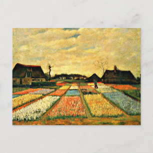 Carte Postale Van Gogh - Lits à fleurs en Hollande