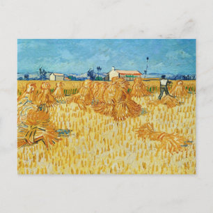 Carte Postale Van Gogh; Moisson en Provence