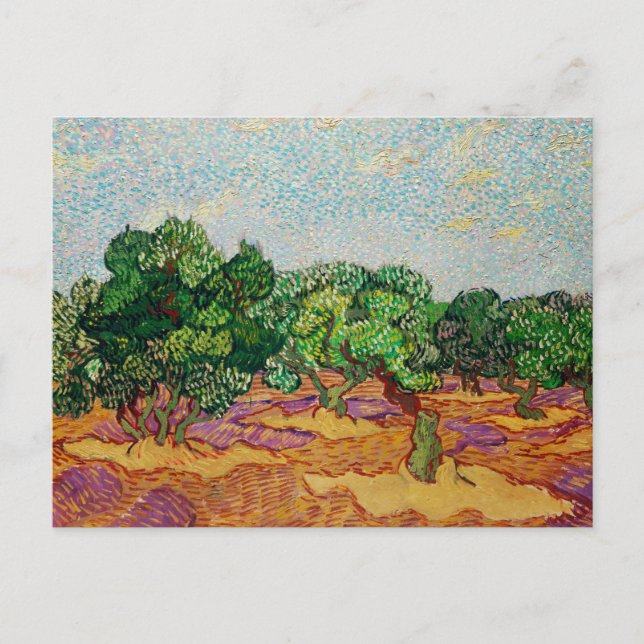 Carte Postale Van Gogh - Oliviers, célèbre peinture, (Devant)