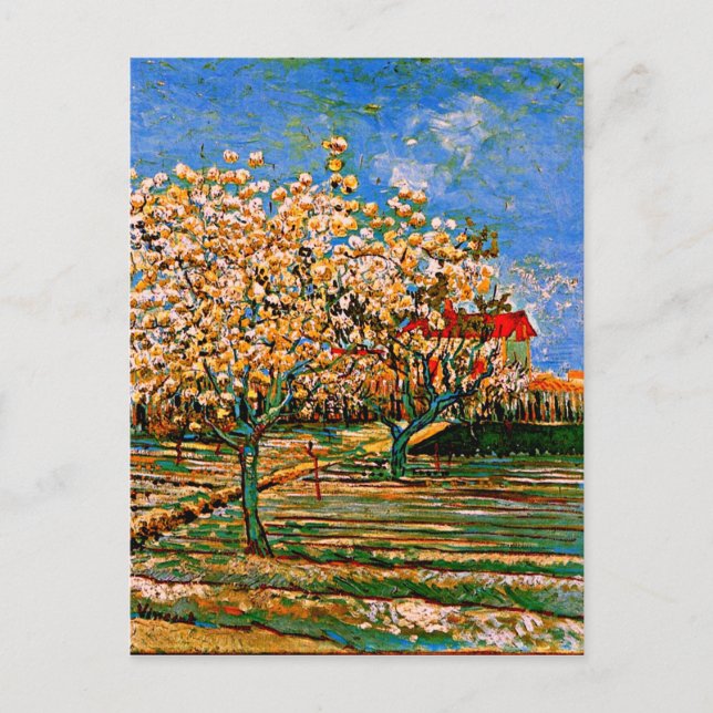 Carte Postale Van Gogh - Orchard à Blossom (Devant)