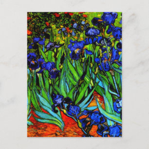 Carte Postale Van Gogh painting, Irises,