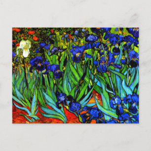Carte Postale Van Gogh peinture, Irises,