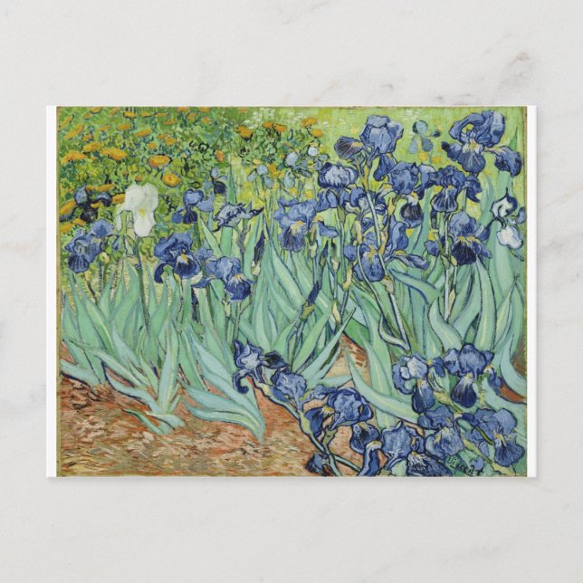 Carte Postale Van Gogh Still Life : Vase avec Irises (Devant)