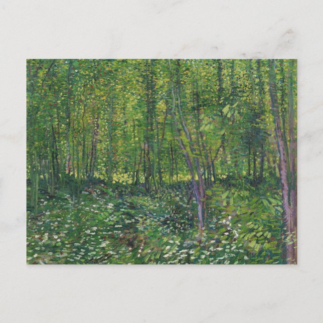 Carte Postale Van Gogh Trees et sous-bois (Devant)