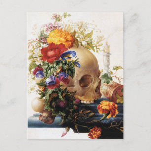 Carte Postale Vanitas - Le crâne