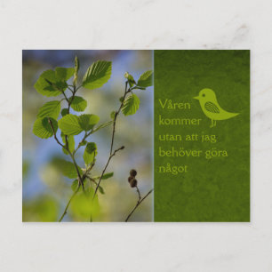 Carte Postale Våren kommer ändå CC0838 Slappna av