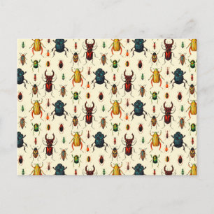 Carte Postale Variétés de coléoptères