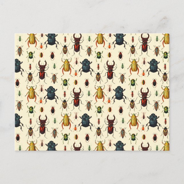 Carte Postale Variétés de coléoptères (Devant)