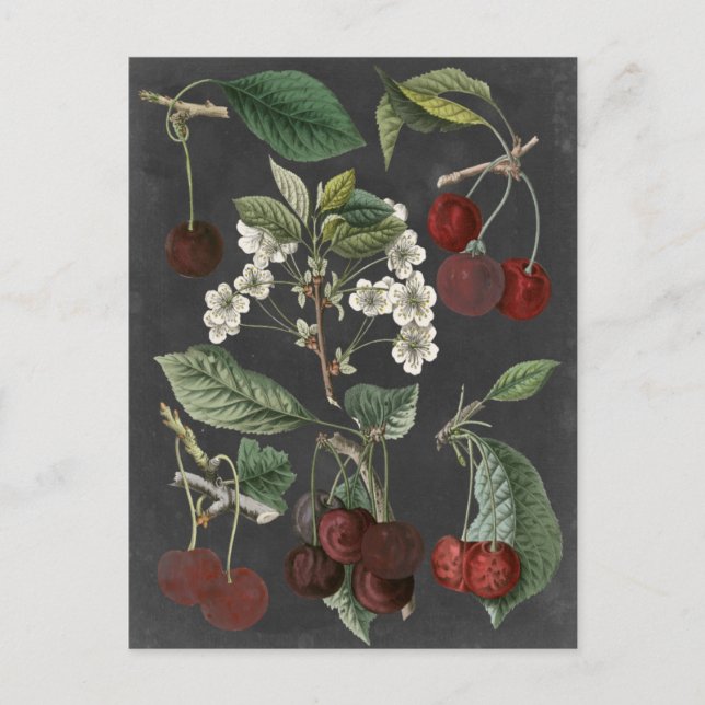 Carte Postale Variétés de verger I (Devant)