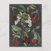 Variétés de verger I