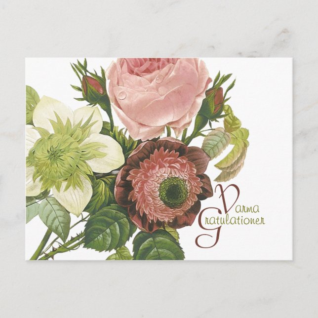 Carte Postale Varma Gratulationer CC0138 (Devant)