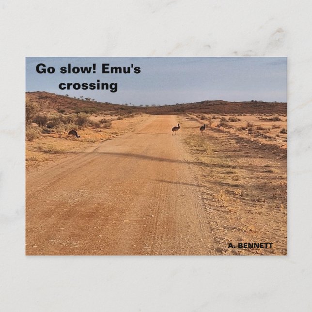 Carte Postale Vas-y lentement ! (Devant)