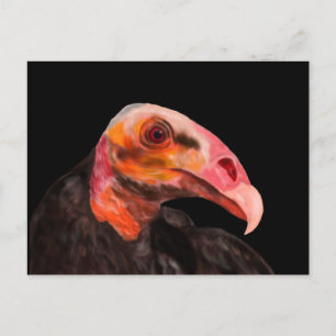 Carte Postale Vautour de Savannah