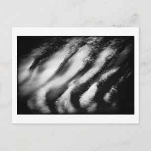 Carte Postale vautours tombé