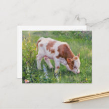 Veau bébé mignon dans un champ de fleurs, style Cl