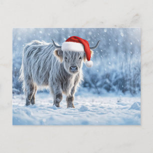 Carte Postale Veau des Highlands de vacances dans la neige Migno