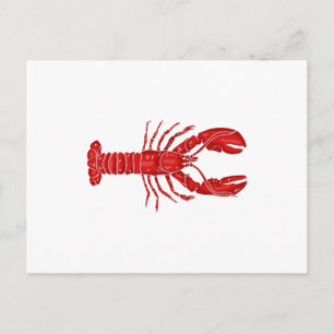 Carte Postale Vecteur de homard