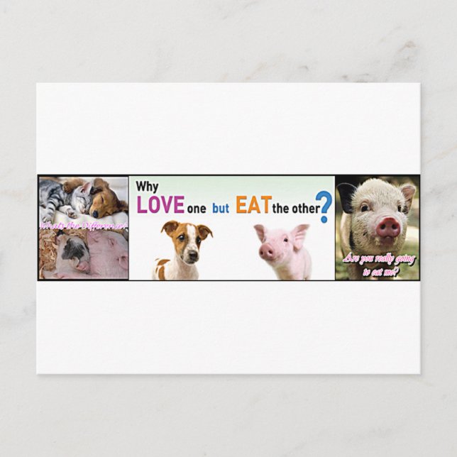 Carte Postale Vegan Gear Quelle différence? (Devant)