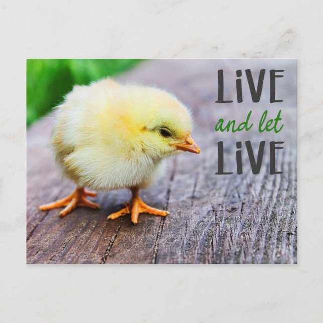 Carte Postale Vegan "Vis et laisse vivre" avec mignon poussin (Devant)