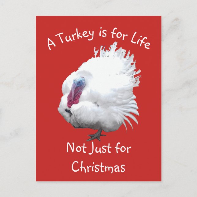 Carte Postale Végétal Noël Turquie (Devant)