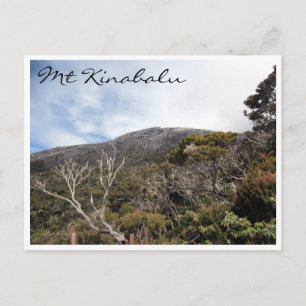 Carte Postale végétation kinabalu
