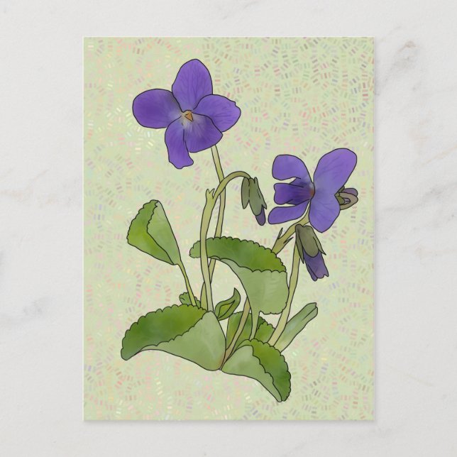 Carte Postale Veilchen (Devant)