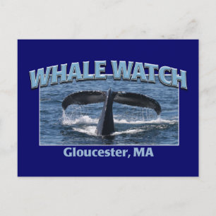 Carte Postale Veille baleine