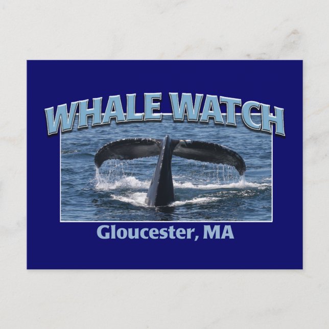 Carte Postale Veille baleine (Devant)