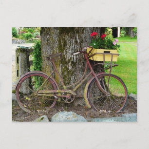 Carte Postale Vélo ancien ancien avec panier à fleurs