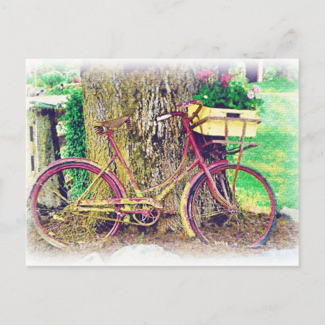Carte Postale Vélo antique avec panier à fleurs (Devant)
