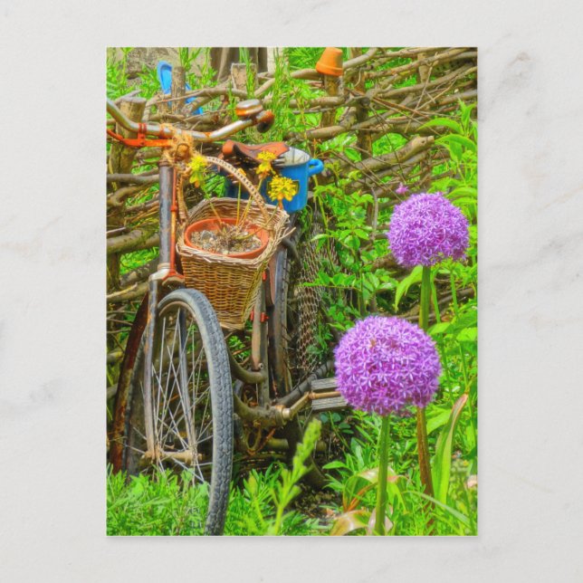 Carte Postale Vélo vintage dans le jardin (Devant)
