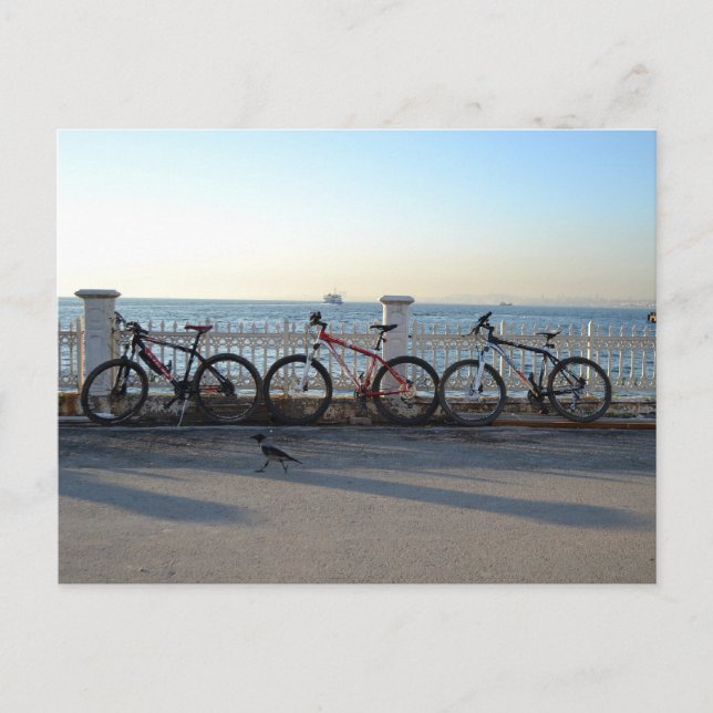 Carte Postale Vélos avec corneille (Devant)