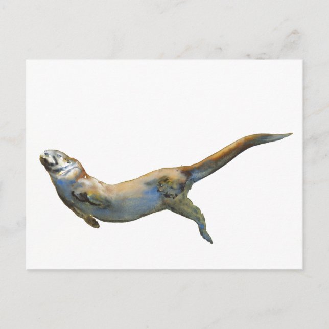 Carte Postale Velvet 2014 (Devant)