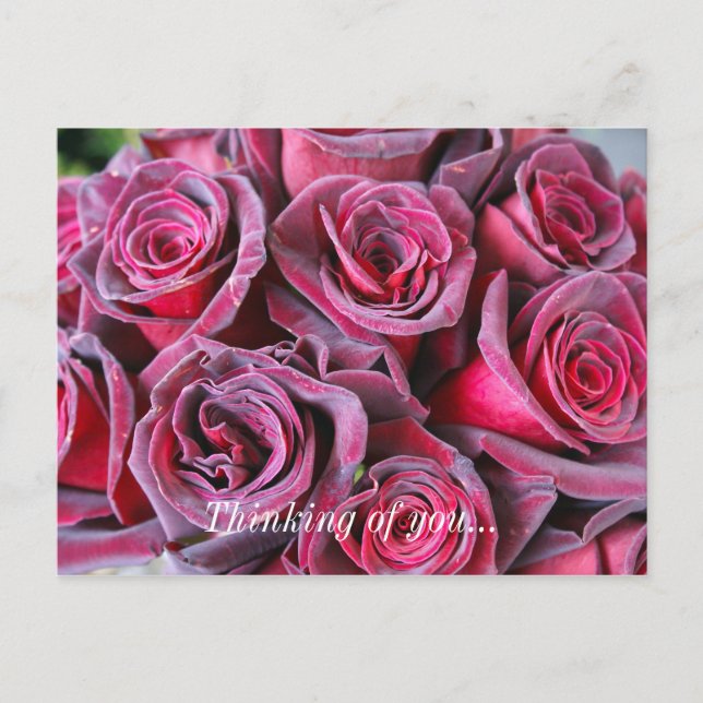 Carte postale "Velvet Beauty vous pense" (Devant)