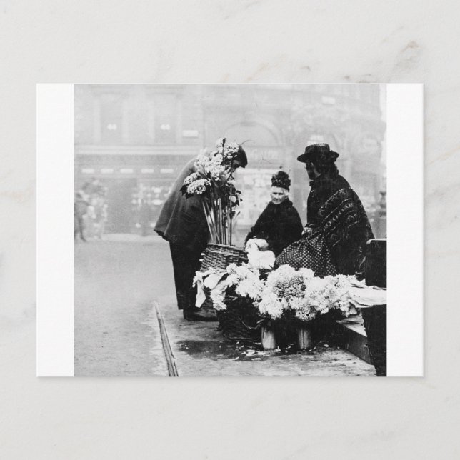 Carte Postale Vendeur de fleurs de Piccadilly Londres, 1904 Angl (Devant)