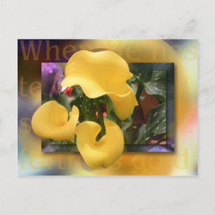 Carte Postale Venez en or