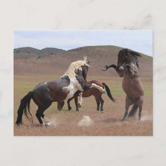 Carte Postale Venez en prendre (Devant)
