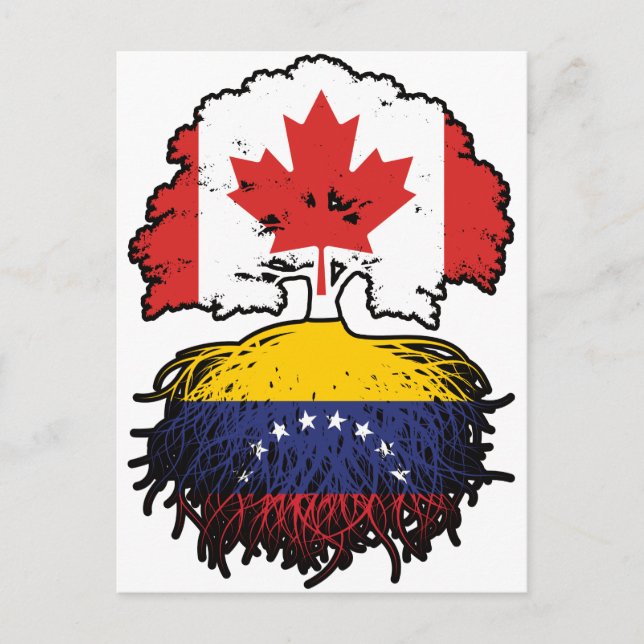 Carte Postale Venezuela Venezuela Canada vénézuélien racines d'a (Devant)