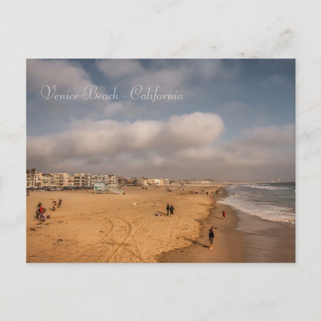 Carte Postale Venice Beach Postcard (Devant)